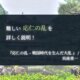応仁の乱